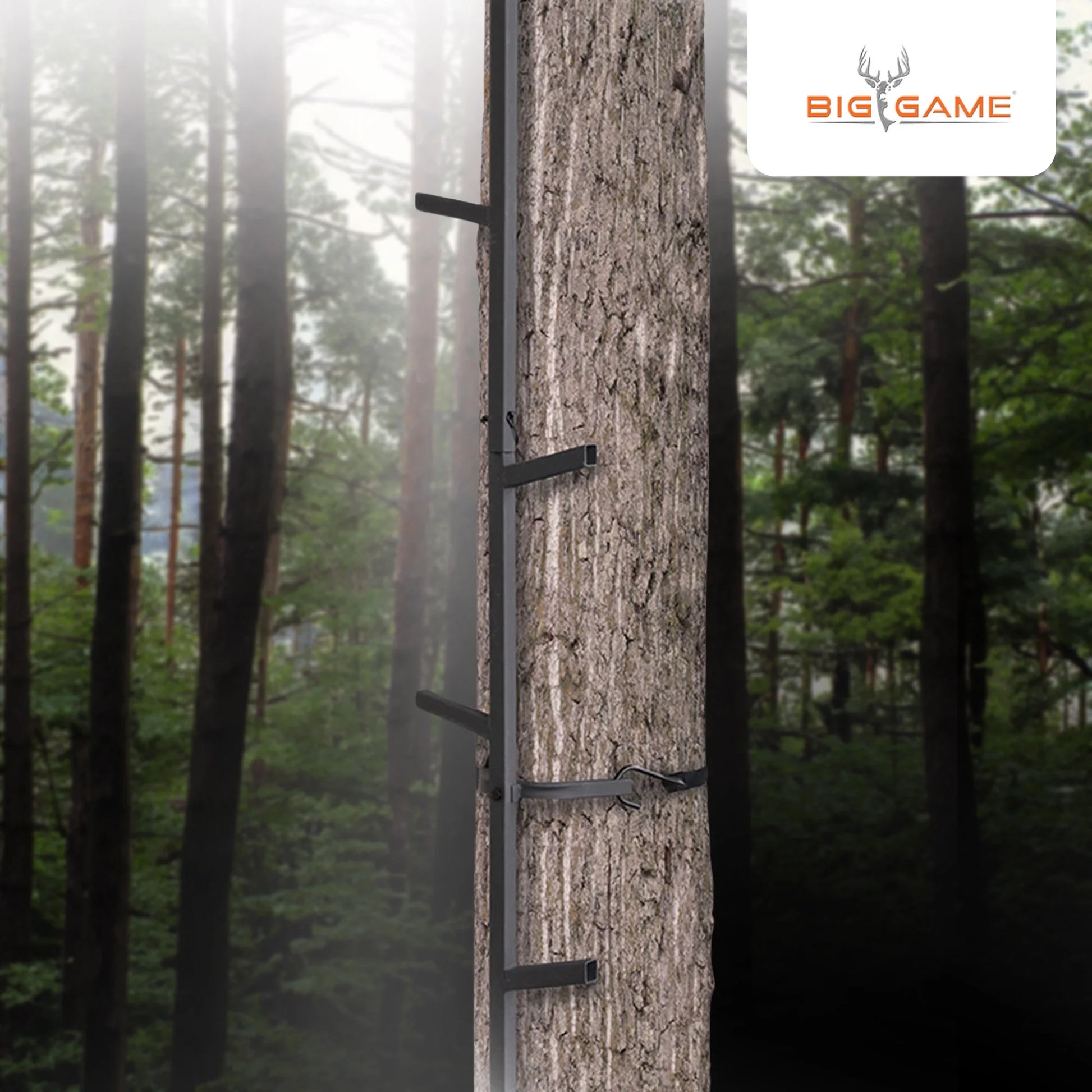 Quick-Stick Whitetail Deer Elk Mule above Hunting Outdoors Slip Resistant Ladder Style Sections Climbing System