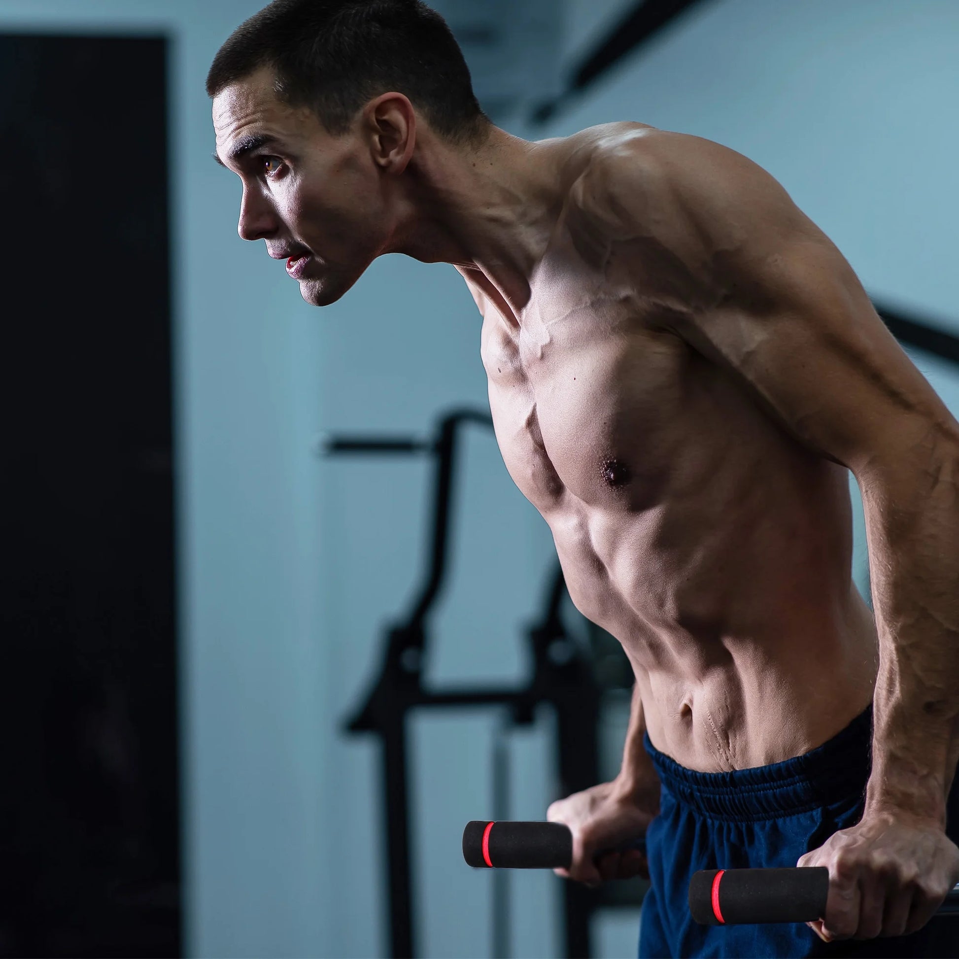 Steel Frame Dip Station with Adjustable Height, 500 Lb Weight Capacity, Black