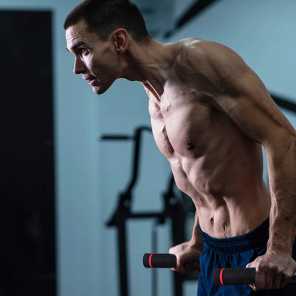 Steel Frame Dip Station with Adjustable Height, 500 Lb Weight Capacity, Black